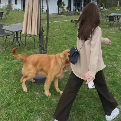 小城犯罪
